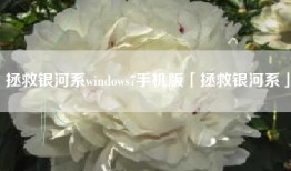 拯救银河系windows7手机版「拯救银河系」