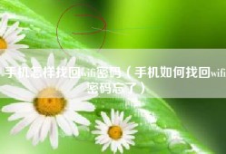 手机怎样找回wifi密码（手机如何找回wifi密码忘了）