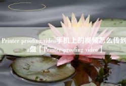 Printer proofing video手机上的视频怎么传到u盘「Printer proofing video」