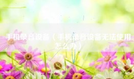 手机录音设备（手机录音设备无法使用怎么办）