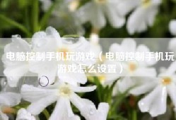 电脑控制手机玩游戏（电脑控制手机玩游戏怎么设置）