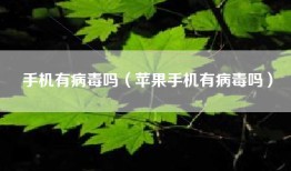 手机有病毒吗（苹果手机有病毒吗）