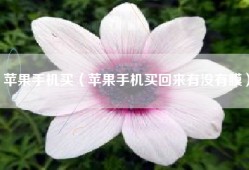 苹果手机买（苹果手机买回来有没有膜）