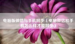 电脑版微信与手机同步（电脑微信和手机怎么样才能同步）