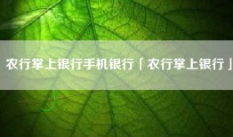 农行掌上银行手机银行「农行掌上银行」