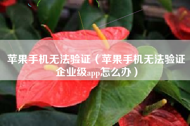 苹果手机无法验证（苹果手机无法验证企业级app怎么办）