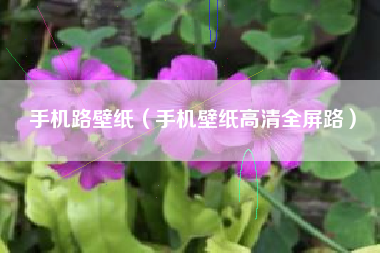 手机路壁纸（手机壁纸高清全屏路）