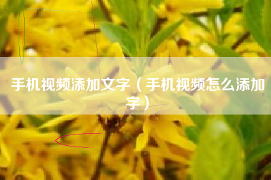 手机视频添加文字（手机视频怎么添加字）